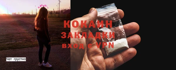 твердый Заречный