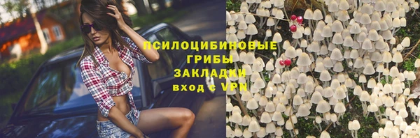винт Заполярный