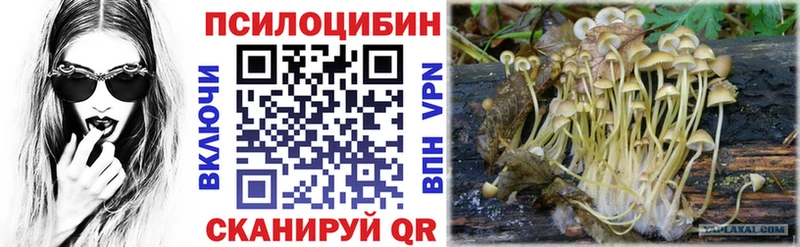 дарк нет как зайти  Вязьма  Псилоцибиновые грибы GOLDEN TEACHER  наркотики  OMG как войти 